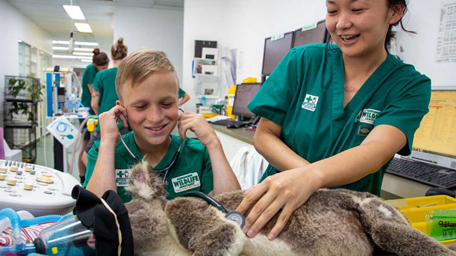 Go Behind the Scenes at a Wildlife Hospital